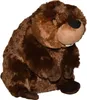A plush toy beaver sitting on a white background. Náhled obrázku produktu