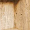 Innenansicht der Sammlervitrine Setzkasten COLLECTIONI mit Eichendekor-Seitenwänden und zwei Befestigungslöchern. Anteprima dell’immagine prodotto