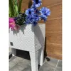 Prosperplast Blumenkasten RATO CASE HIGH Weiß 60 cm Produktbild-Vorschau 32