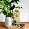 Aktívne uhlie od Dr.Soil® - Biochar v 1 litrovom vrecku Náhľad obrázku produktu 4
