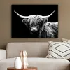 MuchoWow® - Leinwandbilder - Schottischer Highlander - Kuh Produktbild-Vorschau 5