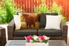 MuchoWow® Outdoor Kissen - Schottisches Hochlandrind - Gras Produktbild-Vorschau 5