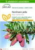 SAFLAX - Nordmann jedle - Abies nordmanniana - 20 Semena - Náhled obrázku produktu 1