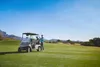 A person stands next to a golf cart on a golf course. Produktbild-Vorschau
