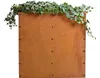 Hochbeet Pflanzbeet Edelrost 80x80x80 cm Pflanzkasten Produktbild-Vorschau 8