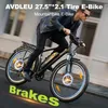 Elektrische fiets A31 voor volwassenen, 250W, 25 km/u, 36V Productafbeelding-voorbeeld 15
