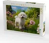 CALVENDO Puzzle Ein Motiv aus dem Kalender "Bichon frisé, Produktbild-Vorschau 2