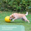 Kerbl Hund Beißring Gelb Kunststoff Tiere Produktbild-Vorschau 9