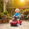 AIYAPLAY Loopfiets 2-in-1: Loopfiets met afneembare Productafbeelding-voorbeeld 9