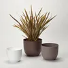 Blumentopf "Rio Greener" 35 cm taupe recyceltes Produktbild-Vorschau 5