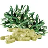 MISTEL Mistelkraut Mistletoe 720 (4x180) Pulver Kapseln Produktbild-Vorschau 3