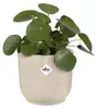 elho vibes fold rund 18cm leinenweiß, Weiß, Kunststoff, 3,6 Produktbild-Vorschau 3