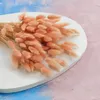 Getrocknete Hasenschwanzgras - (Lagurus) - Lachs Produktbild-Vorschau 2