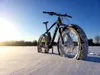 REIFEN 26x4.8 CST ROLY POLY FAT BIKE Draht 122-559 60TPI Produktbild-Vorschau 3