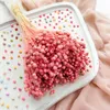 Flachs Getrocknete - (Leinen) - Rosa Produktbild-Vorschau 7