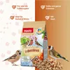 PANTO Erdnussbruch halbe und ganze mit Haut 5 x 1kg - Produktbild-Vorschau 2