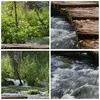 Bild auf Leinwand - Leinwandbild - Park natur grün bäume - Produktbild-Vorschau 8