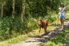 TRIXIE Schleppleine, rund - schwarz - 20 m/ø 6 mm Produktbild-Vorschau 2