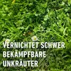 Rasen-Unkrautvernichtung COMPO Perfekt 200 ml Produktbild-Vorschau 19