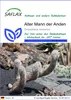 SAFLAX - Alter Mann der Anden - Oreocereus celsianus - 40 Produktbild-Vorschau 1