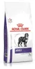 ROYAL CANIN Hondenvoer Neutered Adult Large VHN - droogvoer Productafbeelding-voorbeeld 1