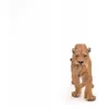 Leonessa con il suo cucciolo Anteprima dell’immagine prodotto 5