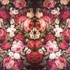 Coloray Fototapete 312x219 cm An Einer Wand Latex Produktbild-Vorschau 2