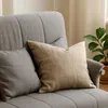 Close-up of two pillows on a gray sofa, with a plant in the background. Produktbild-Vorschau