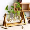 Pflanzenvasen, Terrarium-Stecklinge – Holzhalter mit Glas – Produktbild-Vorschau 10