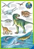 Ravensburger dinosaury a ich biotopy Náhľad obrázku produktu 12