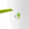 Water being poured into a white herb pot with a green flower detail. Náhled obrázku produktu