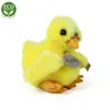 Plüschhuhn, 14 cm, umweltfreundlich Produktbild-Vorschau 9