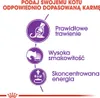 Royal Canin Feline Sensible 33, Adult, 2 kg Produktbild-Vorschau 6