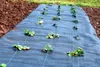 16m² Bodengewebe Unkrautfolie Mulchfolie 100g 1m breit Produktbild-Vorschau 6