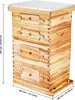 SucceBuy zestaw startowy 40 ramek, drewno cedrowe pokryte Podgląd zdjęcia produktu 8