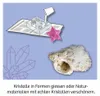 Kits d'expérimentation KOSMOS | KOSMOS Fun Science Les Voir les images du produit 4