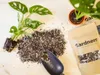 Gardners Substrát pro Monstery a zelené rostliny, 3 l Náhled obrázku produktu 3