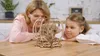 A woman and a young girl are looking at a wooden mechanical aquarium model on a table. Podgląd zdjęcia produktu