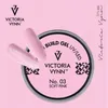A marketing image for Victoria Vynn Build Gel UV/LED. Anteprima dell’immagine prodotto