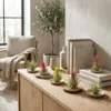 Bloomique - Mix di 10 - Tillandsia - Tillandsia - Vere Anteprima dell’immagine prodotto 3