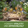 Vogelfutter Wildvogelfutter ganzjährig für Wildvögel, Produktbild-Vorschau 9