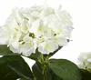 Sztuczna roślina Mica Decorations Hydrangea - H45 x Ø45 cm Podgląd zdjęcia produktu 9