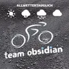 TeamObsidian garage per biciclette resistente alle Anteprima dell’immagine prodotto 5