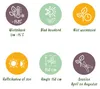 GreenboutiQ - Heckenpflanzen - Euonymus japonica Paloma Produktbild-Vorschau 7