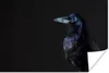 MuchoWow® Poster Vogel - Tiere - Schwarz 180x120 cm - Produktbild-Vorschau 1
