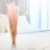 Getrocknetes Mini Pampasgras Rosa, 60cm Länge, mit Produktbild-Vorschau 3
