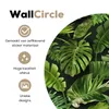 MuchoWow® - Wand Kreis - Wand Bild - Foto Tapete - Produktbild-Vorschau 2