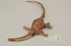 COLLECTA Brontosaurus - (XL) Produktbild-Vorschau 3