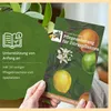 Meine Orangerie Orangenbaum Mezzo - echte Orange - Produktbild-Vorschau 6