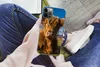 MuchoWow® Handyhülle Schutzhülle Hülle für iPhone 12 Pro Produktbild-Vorschau 3